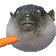 :AUUUGH: Discord Emote