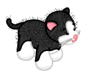 kittywave kittywave