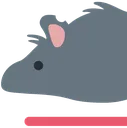 RatLong1