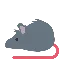 RatSpin