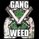 gangweed2
