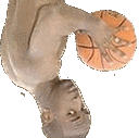 :BBallTripleThreatU: Discord Emote