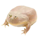 frogstare