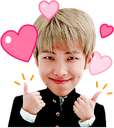 :rm_saranghae: Discord Emote