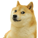 GMS_Doge Discord Emoji | Galactic Moth Studios