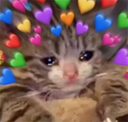 :wholesomeness: Discord Emote