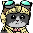 sadcat