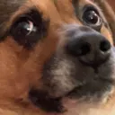 concern