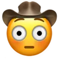 flushCowboy