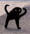 yyy yyy