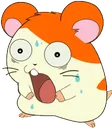 hamtarospooked hamtarospooked