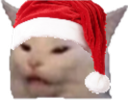 :CatWat: Discord Emote