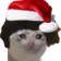 SantaTriCat