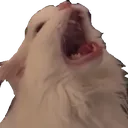 Catzilla Discord Emoji