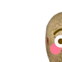 flushnut1