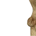 flushnut3