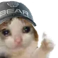 goodbear