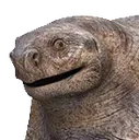 StegogrossFace