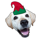 :baha_christmas: Discord Emote