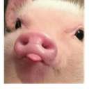 emoji83 Discord emoji
