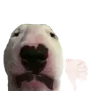 walternohappy Discord Emoji