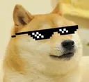 MLGDoge