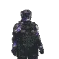 WA99_codm_radiant