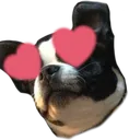 louislove
