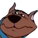 scoober