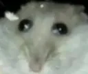 why
