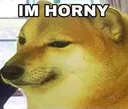 horny horny