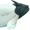 fishahead fishahead