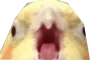 birbscrem