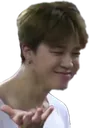 jimin_wtf