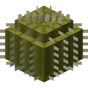 barrelboi barrelboi