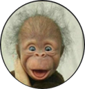 carsten Discord emoji