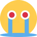 cri cri