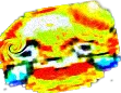 cancerwtf