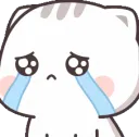 kittyCrying