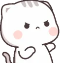 kittyFight
