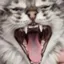 meowtana meowtana