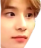 :Jungfused: Discord Emote