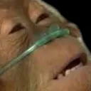 monkey~1 Discord Emoji