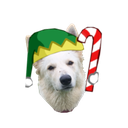 :gwenn_who: Discord Emote