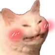 BlushCat