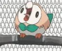 Screaming_Rowlet