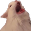 Waah Discord emoji