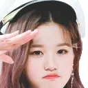 wysalute