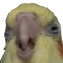 DISGUSTANG DISGUSTANG