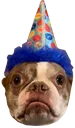 jenParty